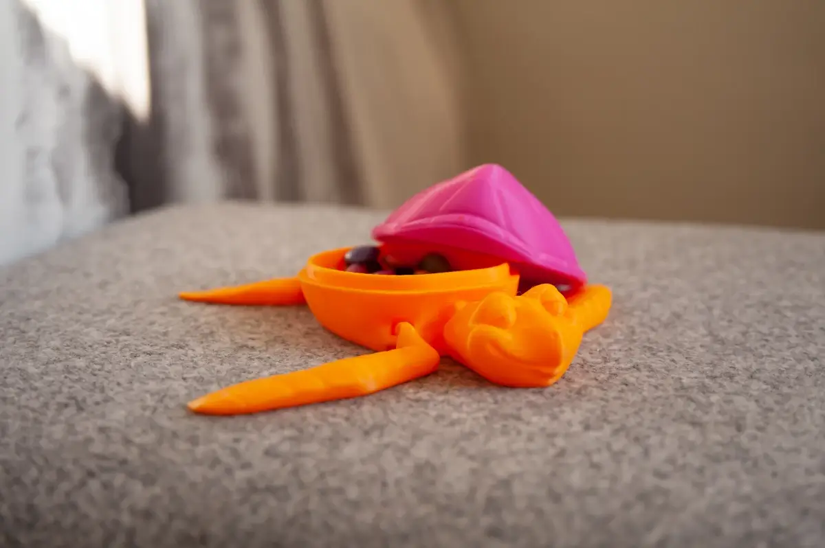 turtle holder with removable shell
